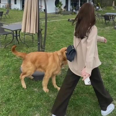 梦想大道东